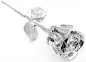 Silver Plated Rose