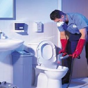 Regular Deep Toilet Cleaning Services