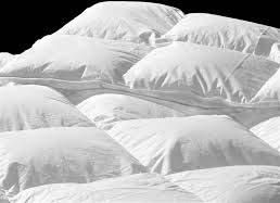 Cotton Duvets