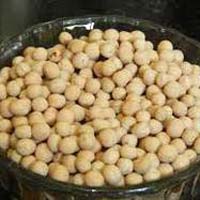 White Chickpeas