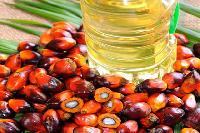 Palm Olein Oil