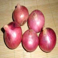 Fresh Red Onion