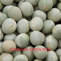Canadian Green Peas