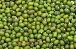 South African Green Moong Dal