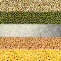 Agriculture Commodities