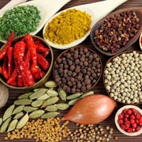 Indian spices