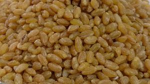 Haleem Polished Wheat