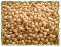 AMARANTH