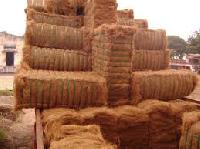 Coir Fiber