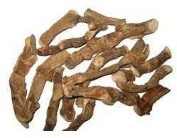 Acorus Calamus Root