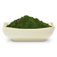 Wheat Grass Powder