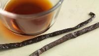 Vanilla Extract