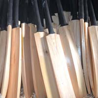 Popular Willow Cricket Bat