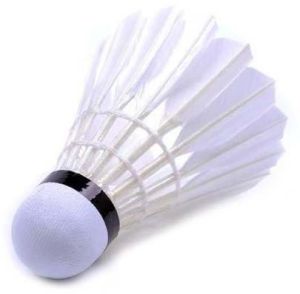 Badminton Shuttlecocks