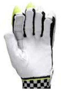 Cricket Batting Gloves