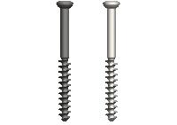 large cannulated screw