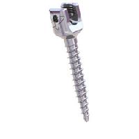 polyaxial screw