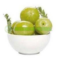 Amla Extract