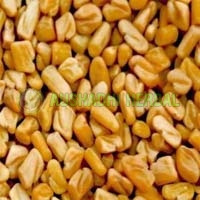 Fenugreek Extract