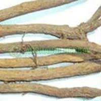 Mulethi Extract