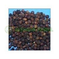 Black Pepper Extract