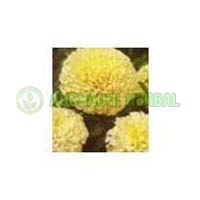 Lutein Extract
