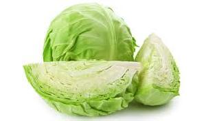 Fresh Cabbage 02