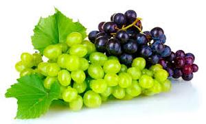 Fresh Grapes 02