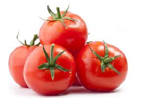 Fresh Tomato 02
