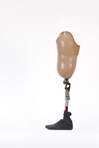 prostheses