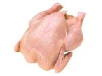 poultry meat