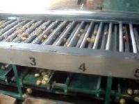 onion grading machine