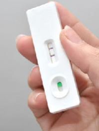 Pregnancy Test Kits