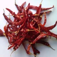 Wrinkle 273 Dry Red Chilli