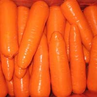 Frozen carrot