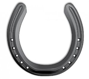 horseshoes