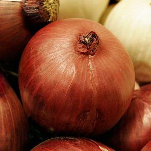 Onion