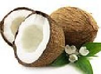 Coconut