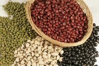 Organic Pulses