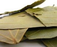 Bay Leaf