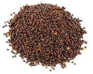 Mustard Seeds