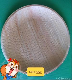 Areca Leaf Plate 10 flat(Round)