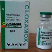 Amoxycillin and Cloxacillin Injection