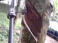 rubber tapping machine