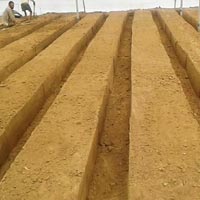 Soil Bed Preparation