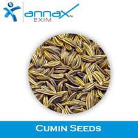 Cumin Seeds 01