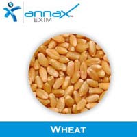 Wheat Seeds