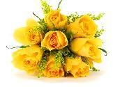 yellow roses