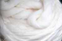 sheep raw wool