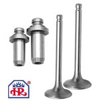 Motorcycle Engine Valves